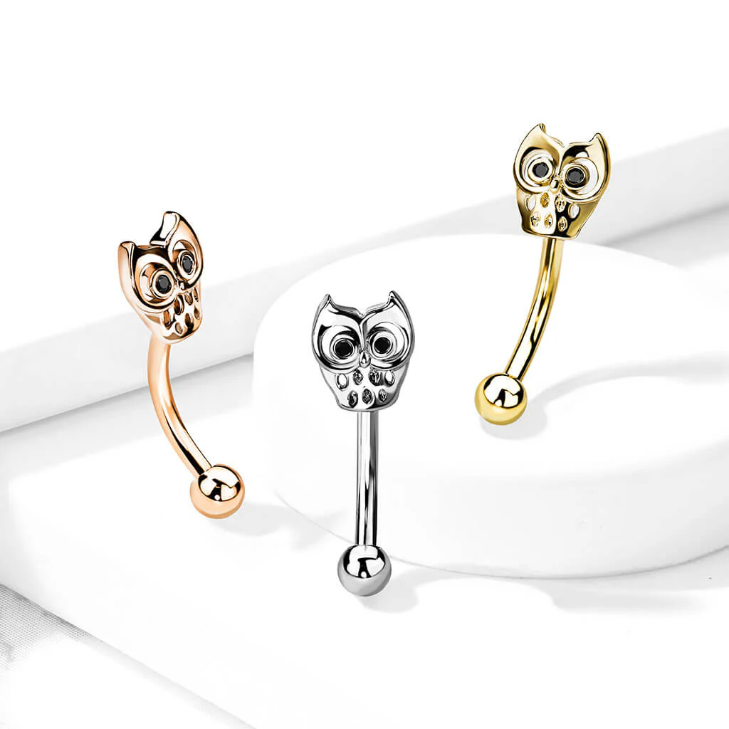 Sourcil Hibou - Image 7