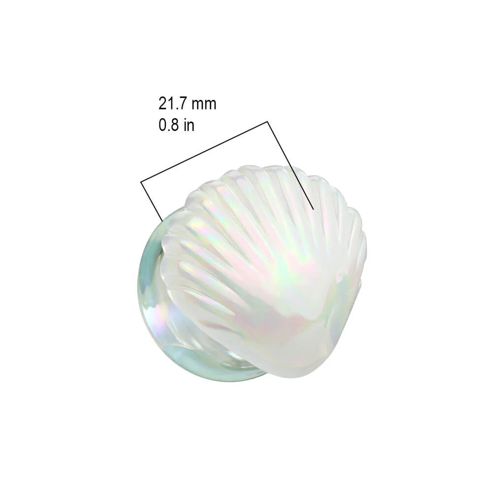 Verre Plug Coquille - Image 2