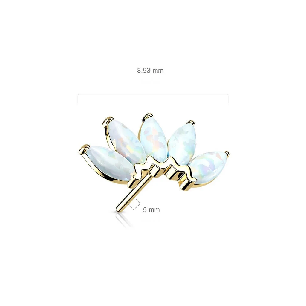 Or 14kt Embout Embout 5 Opales Enfoncer - Image 2