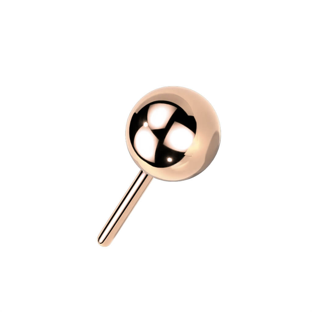 Titane Embout Embout Argent Enfoncer - Image 5