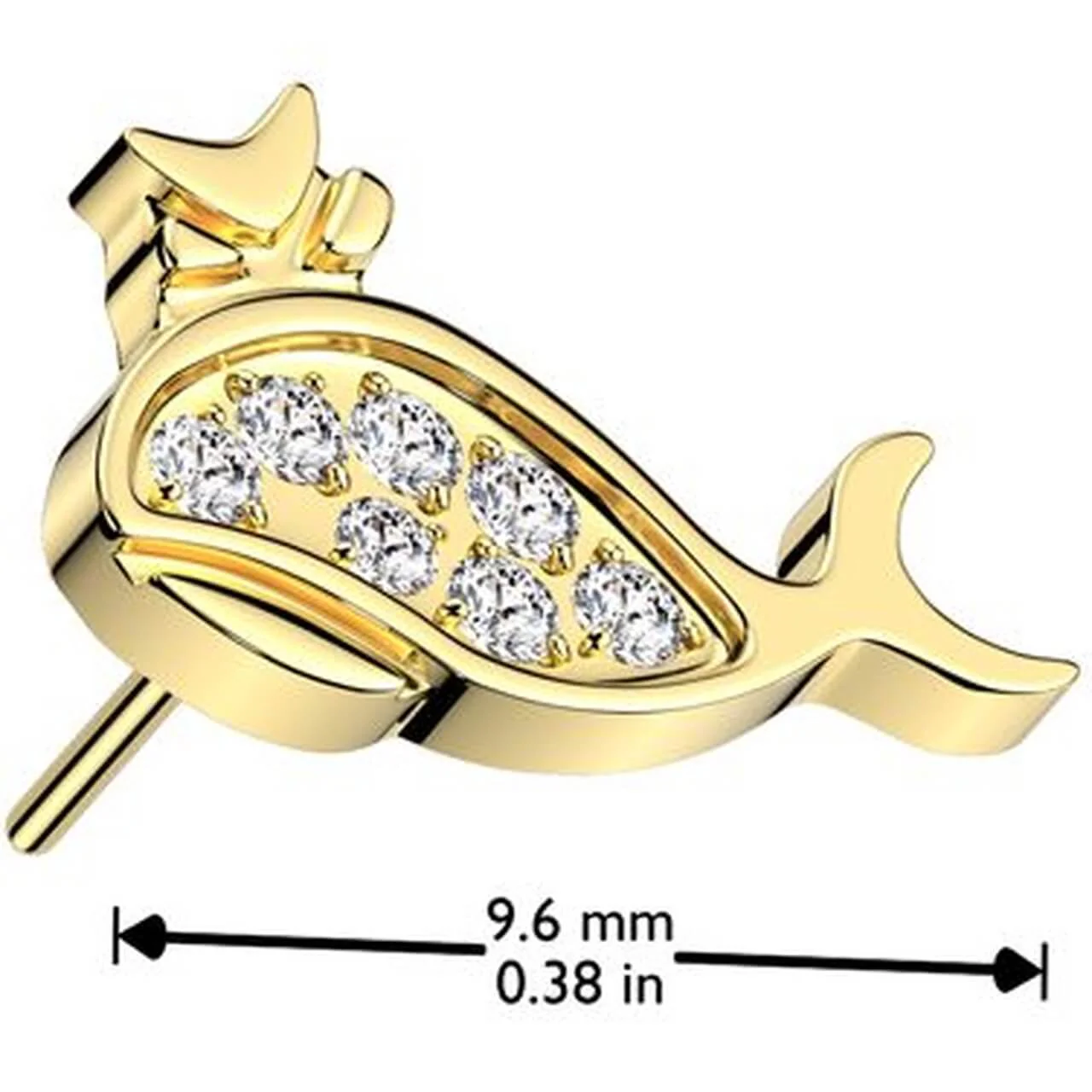 Titane Embout embout baleine zircone Enfoncer - Image 2