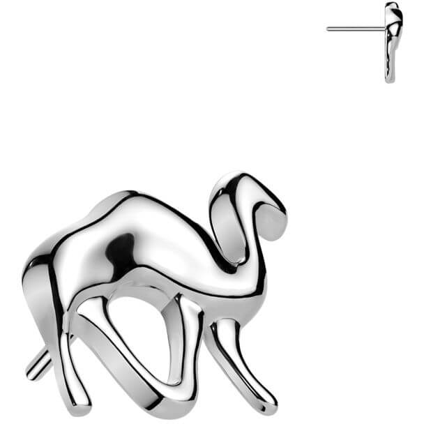 Titane Embout embout chameau Enfoncer - Image 3