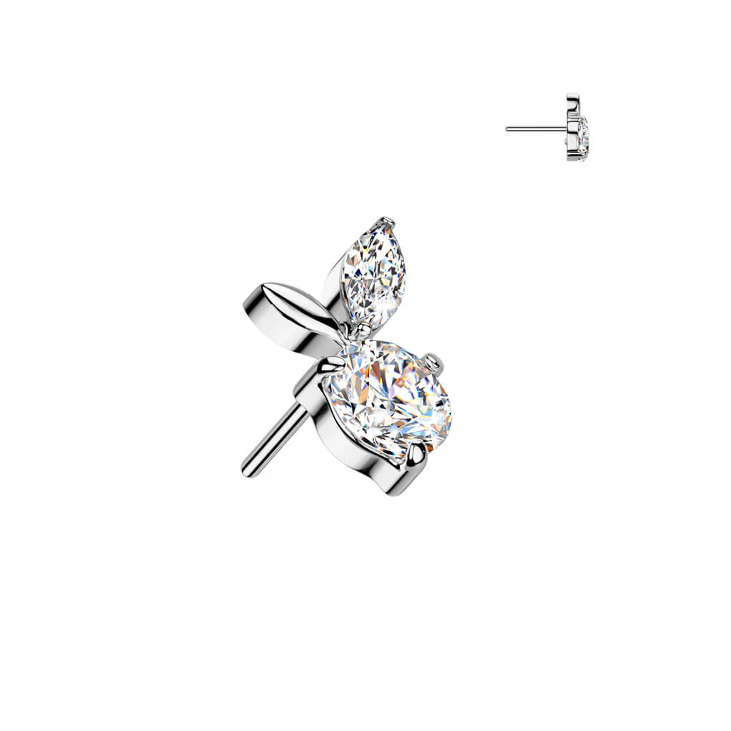 Titane Embout embout feuilles zircone Enfoncer - Image 4