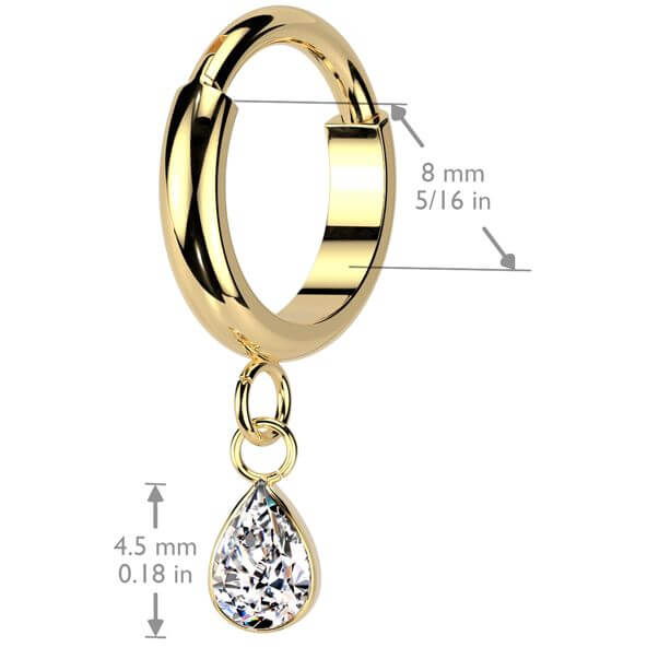 Titane Anneau zircone pendentif Segment - Image 2