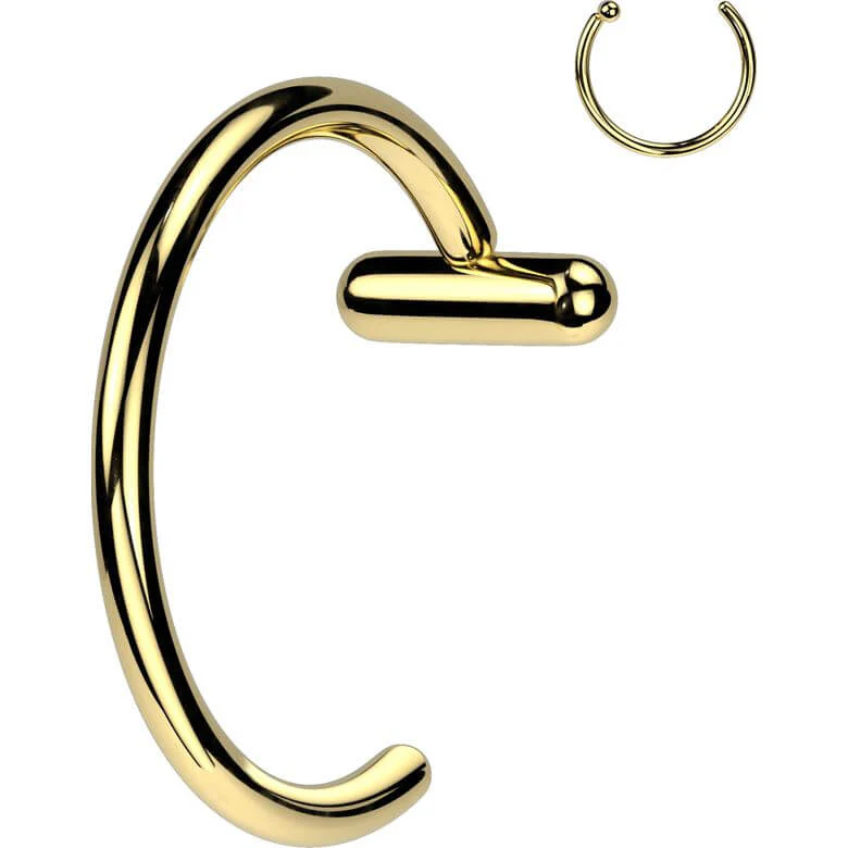Titane Anneau de Nez Bouchon de barre - Image 5