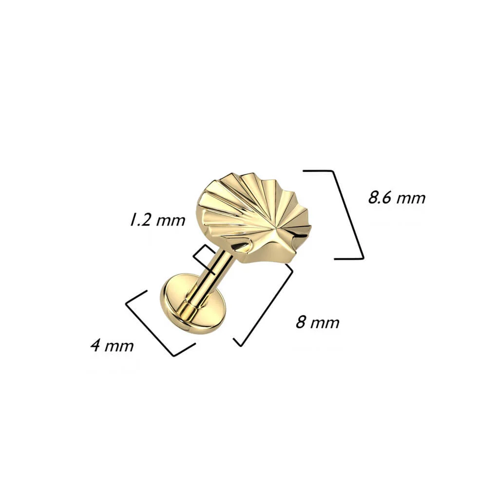 Titane Labret Coquillage Filetage Interne - Image 3