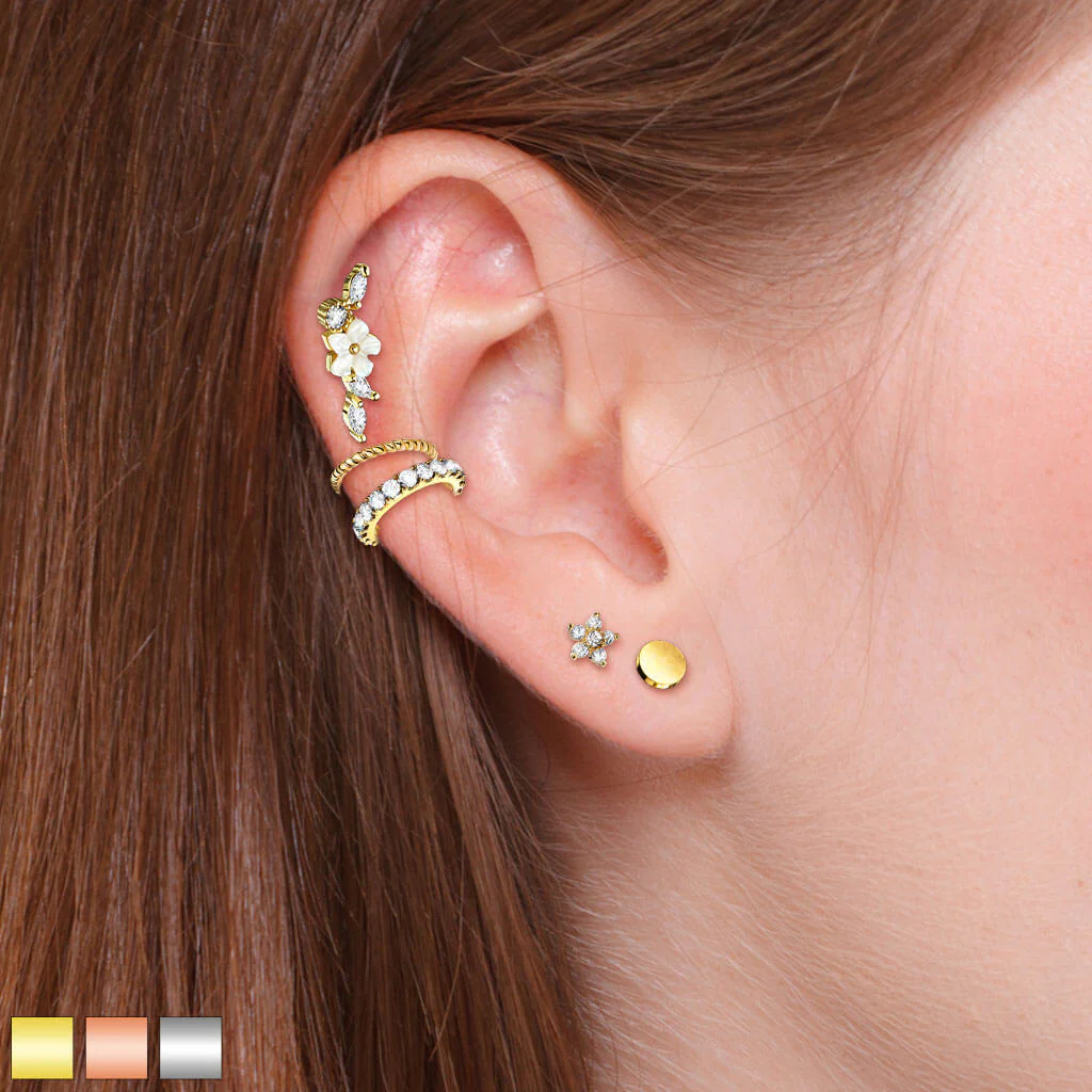 Pack Économique Ensemble Labret Barbell Anneau Pliable, 5 morceaux - Image 2