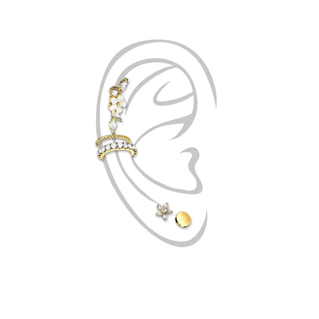 Pack Économique Ensemble Labret Barbell Anneau Pliable, 5 morceaux - Image 3