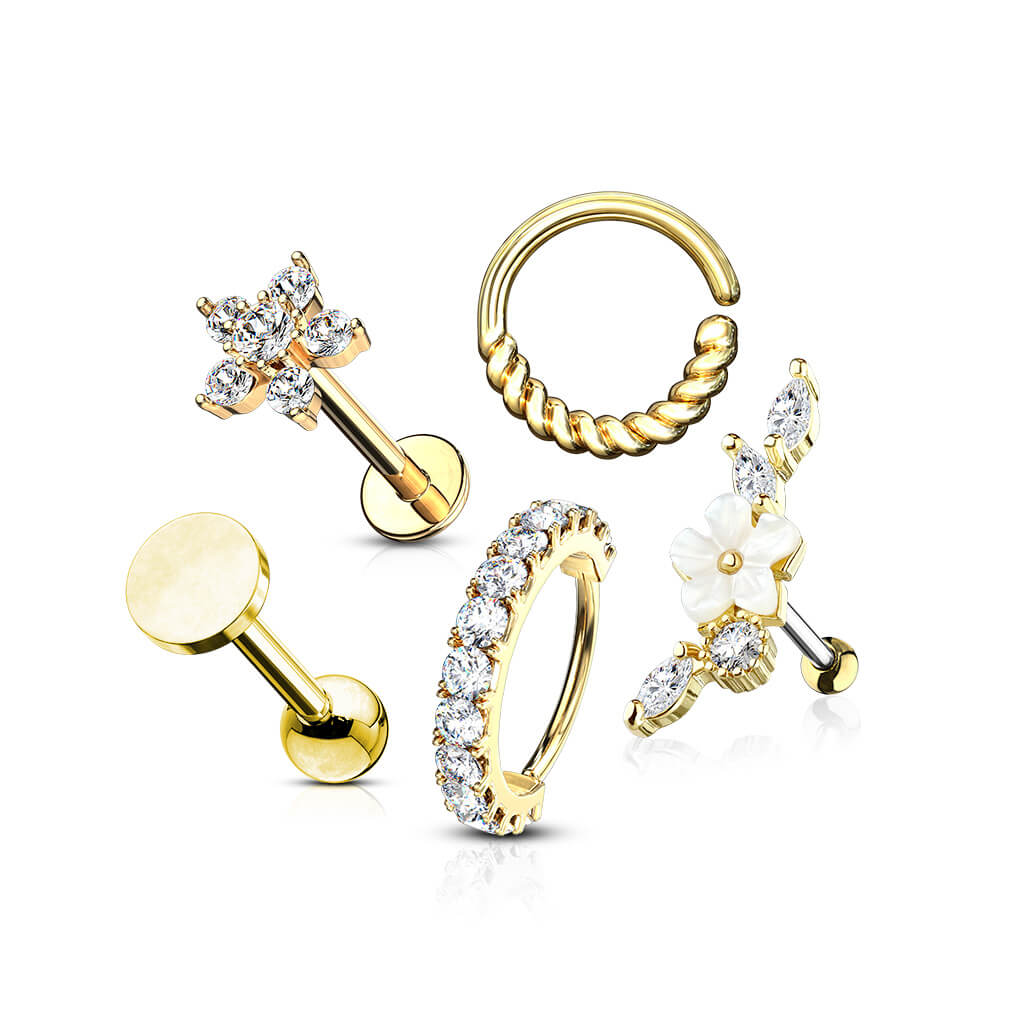 Pack Économique Ensemble Labret Barbell Anneau Pliable, 5 morceaux - Image 4